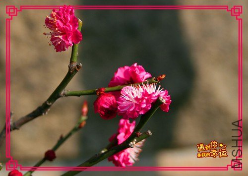 ��Ƭ 035_����.jpg