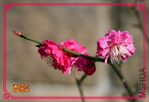 ��Ƭ 036_����.jpg