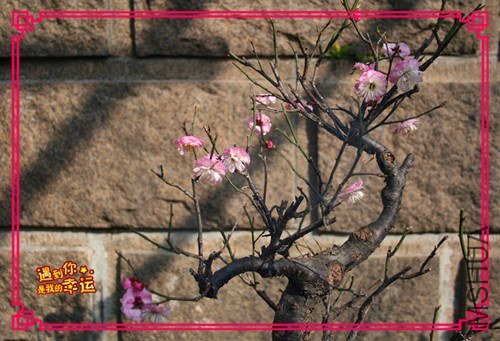 ��Ƭ 039_����.jpg