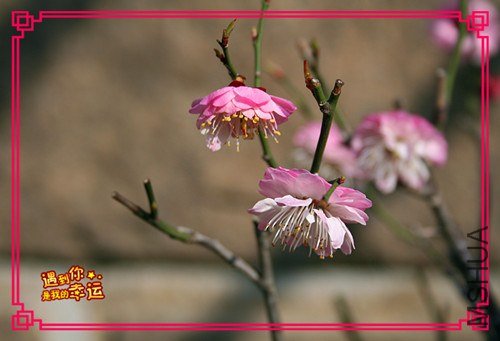 ��Ƭ 040_����.jpg