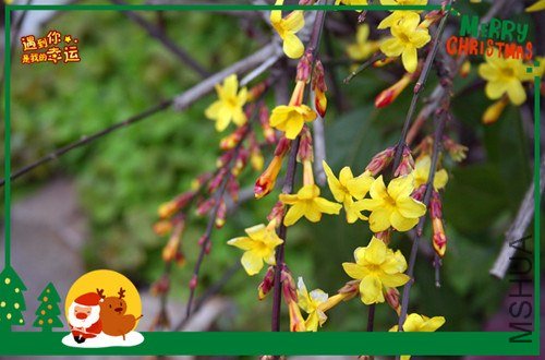 ��Ƭ 216_����.jpg