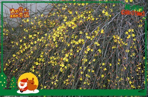 ��Ƭ 208_����.jpg