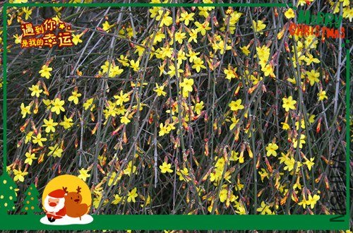 ��Ƭ 210_����.jpg