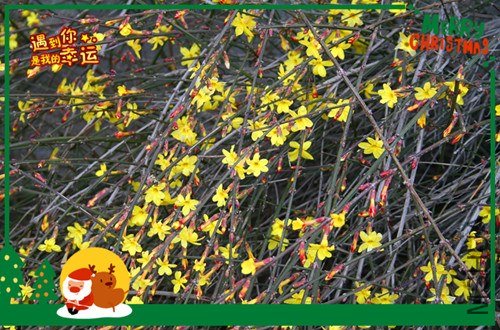 ��Ƭ 211_����.jpg