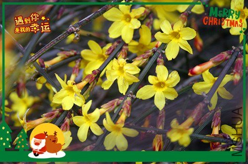 ��Ƭ 212_����.jpg