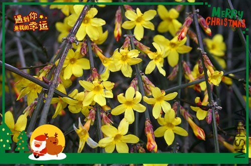 ��Ƭ 214_����.jpg