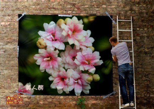 ��Ƭ 083_����.jpg