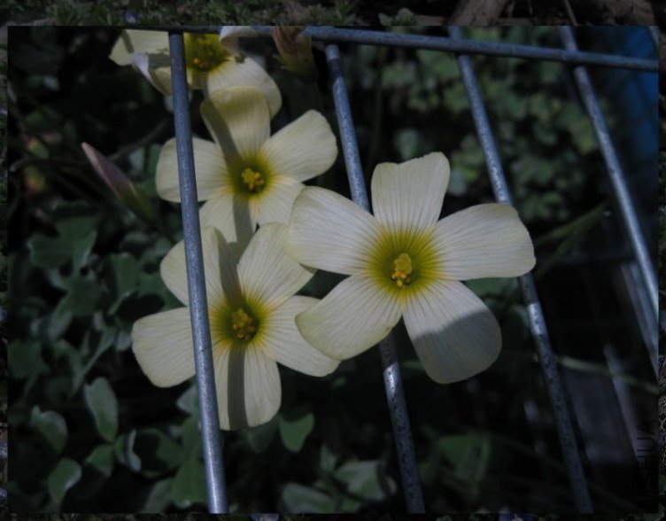 QQ��ͼ20130304213151.jpg
