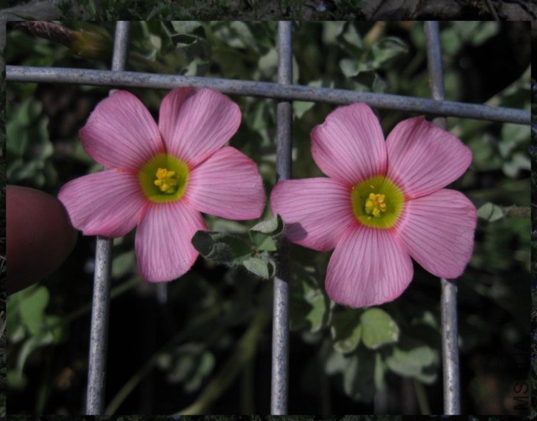 QQͼƬ20130304211455.jpg