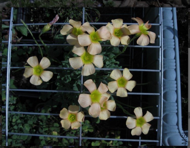QQͼƬ20130304211509.jpg