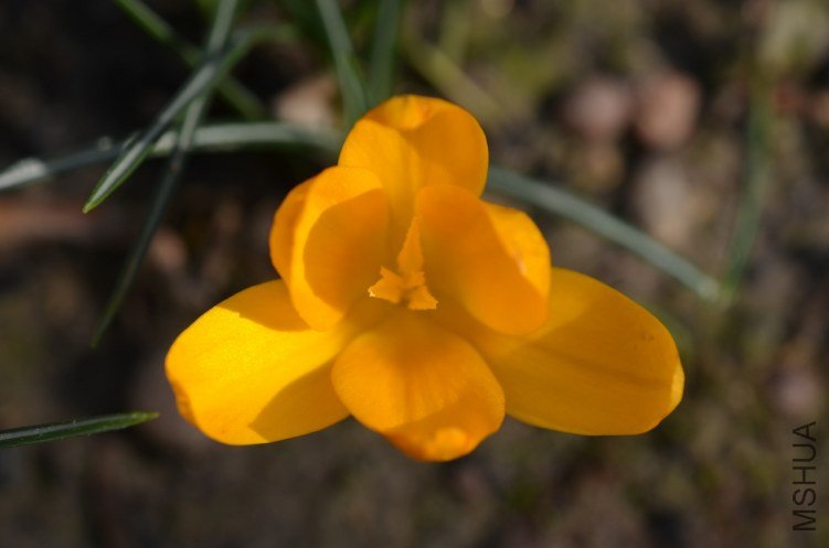 ����20130220 003.JPG