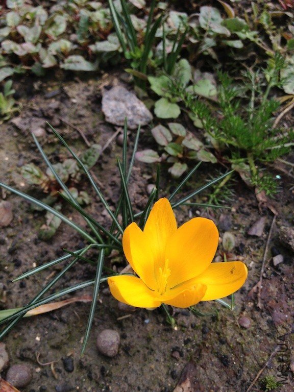 ����20130223 002.JPG