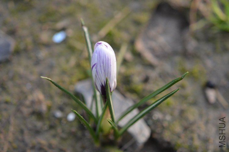 ެ�컨ƥ������20130302 002.JPG