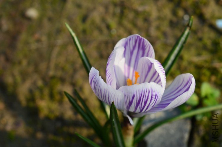 ެ�컨ƥ������20130303 005.JPG
