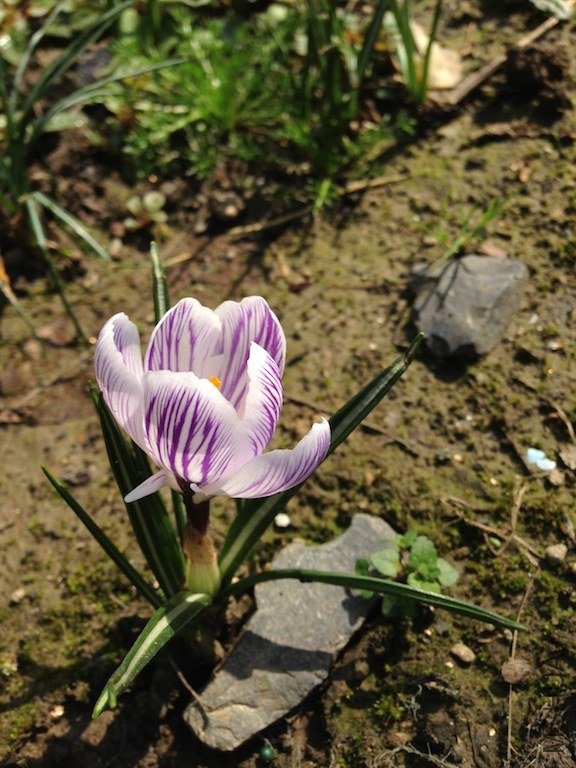 ެ�컨ƥ������20130303 007.JPG