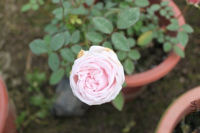 ��Ƭ 027.jpg