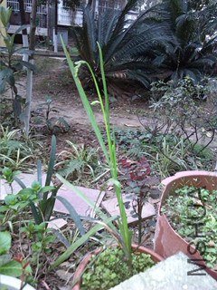 img_20130301_074655_����.jpg