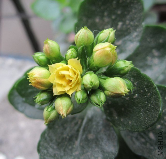 20130303.jpg