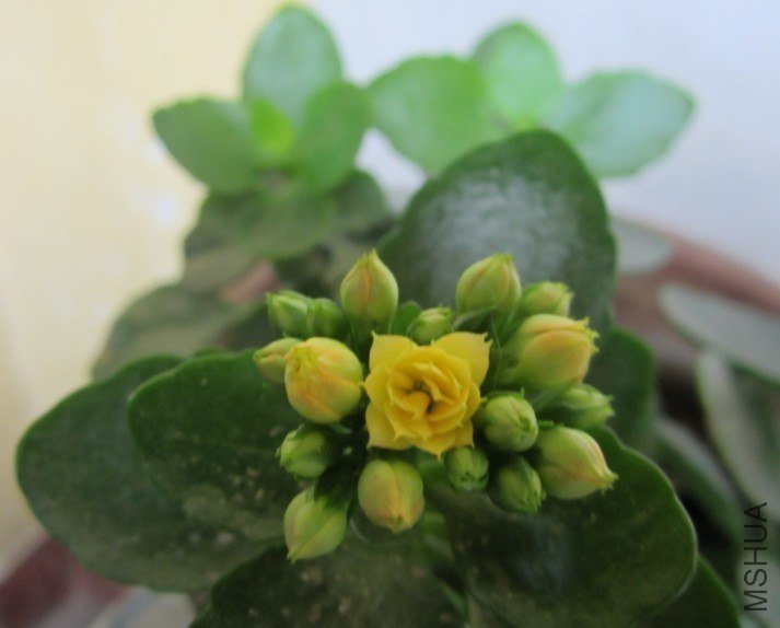 20130303C.jpg