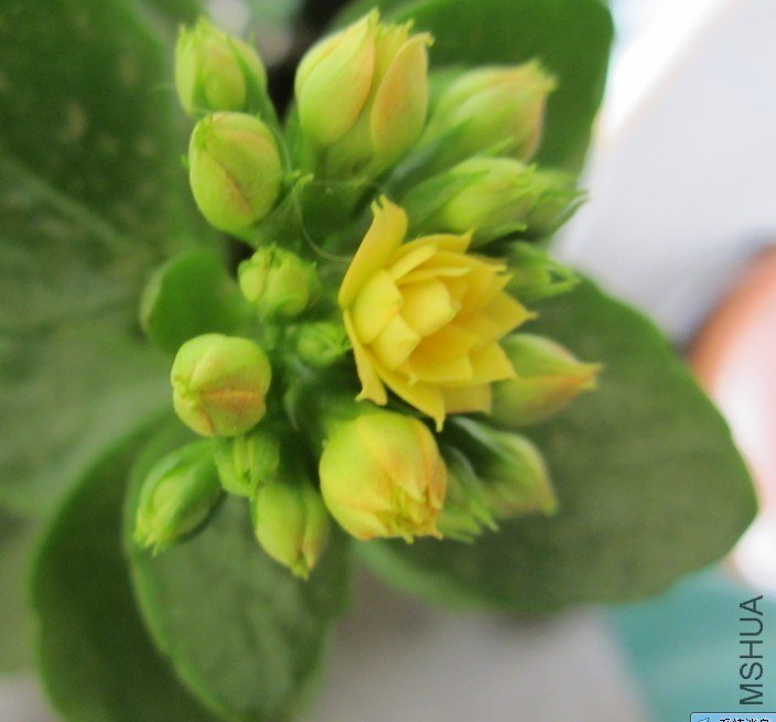 20130303D.jpg