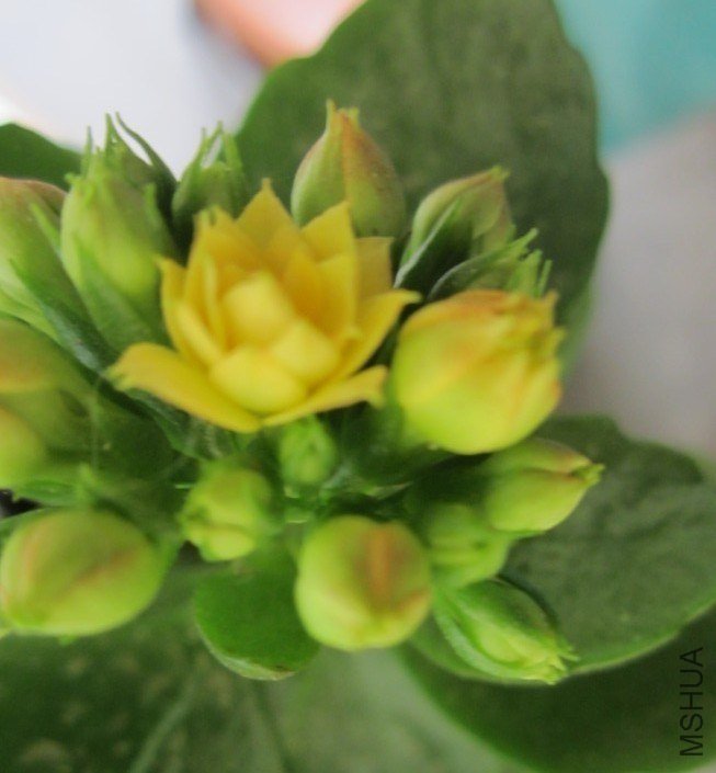 20130303E.jpg