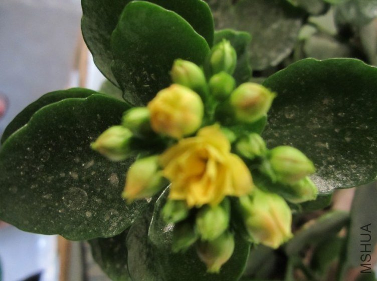 20130303F.jpg