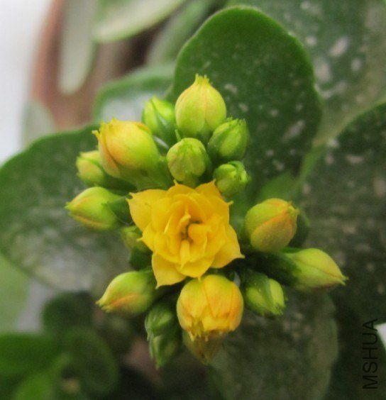 20130303J.jpg