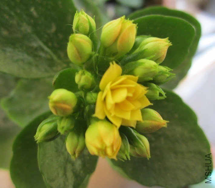 20130303L.jpg