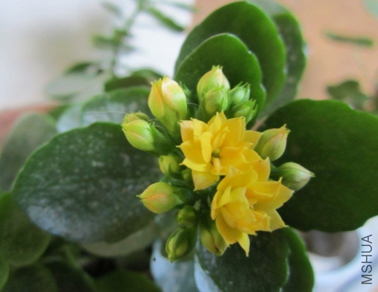 20130304.jpg
