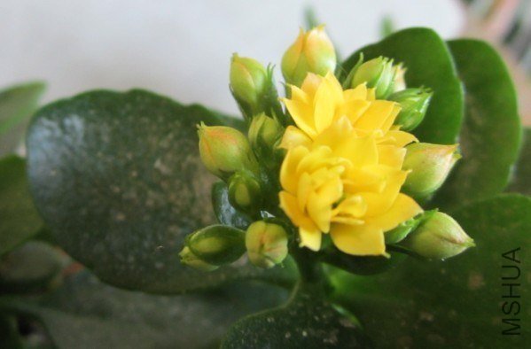 20130304B.jpg
