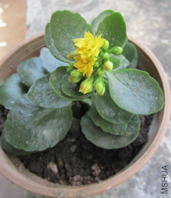 20130305.jpg