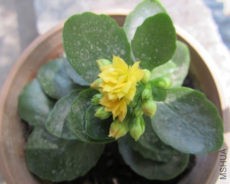 20130305B.jpg