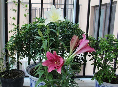 ���� (13).jpg