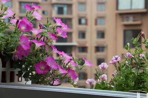 ����� (17).jpg