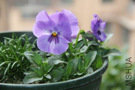 ���� (44).jpg