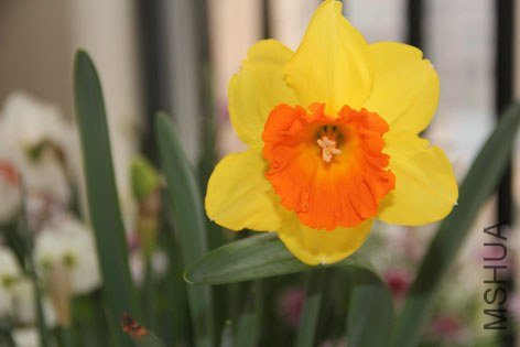 ��ˮ�� (43).jpg