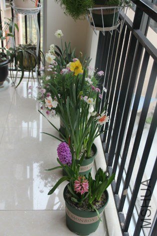 ���� (40).jpg