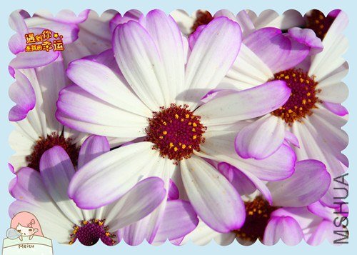 ��Ƭ 111_����.jpg