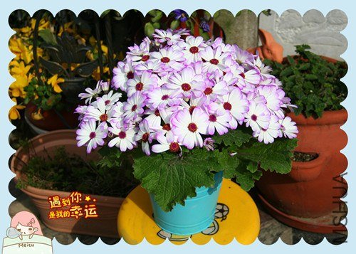 ��Ƭ 104_����.jpg