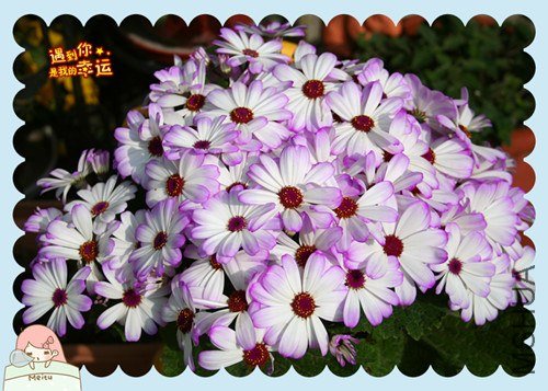 ��Ƭ 106_����.jpg