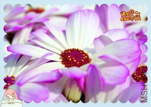 ��Ƭ 108_����.jpg