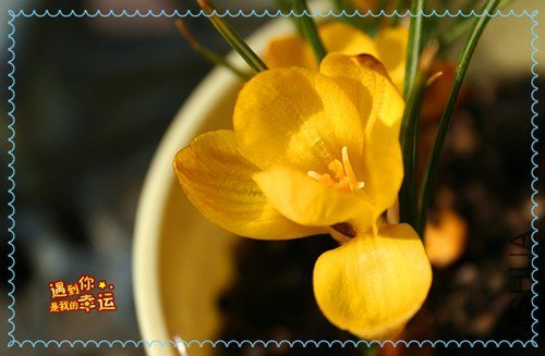 ��Ƭ 053_����.jpg