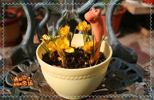 ��Ƭ 050_����.jpg