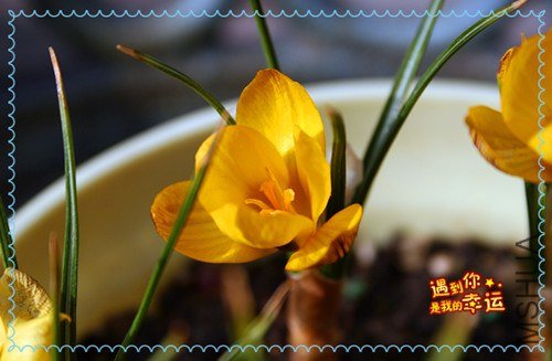 ��Ƭ 051_����.jpg