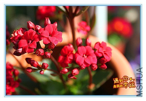 ��Ƭ 059_����.jpg