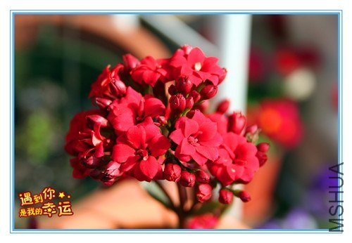 ��Ƭ 057_����.jpg