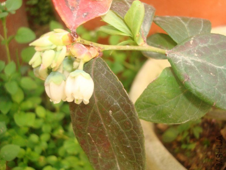 DSC04828.JPG