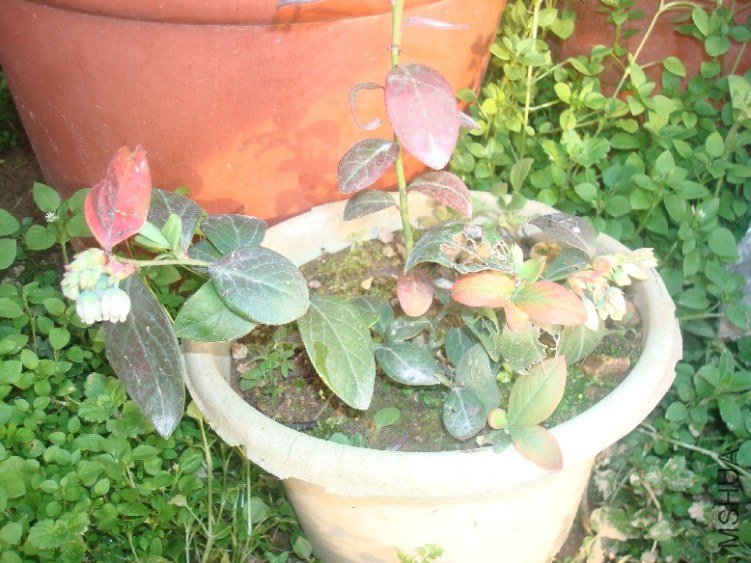 DSC04829.JPG
