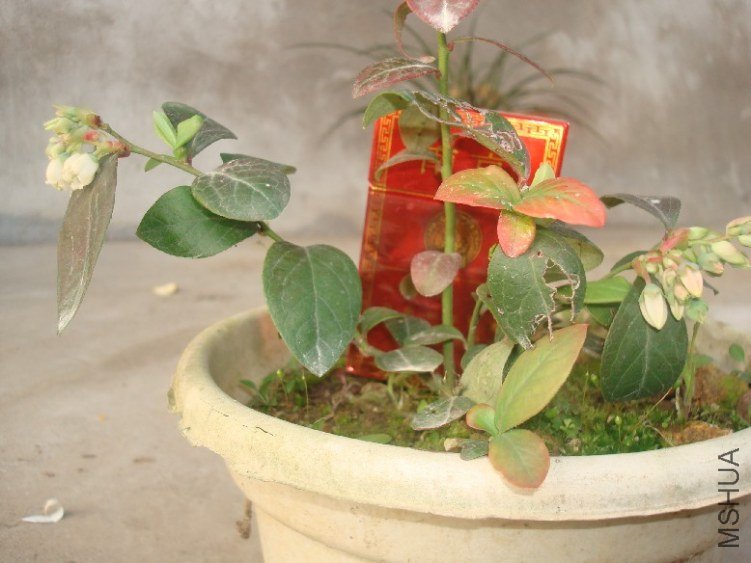 DSC04841.JPG