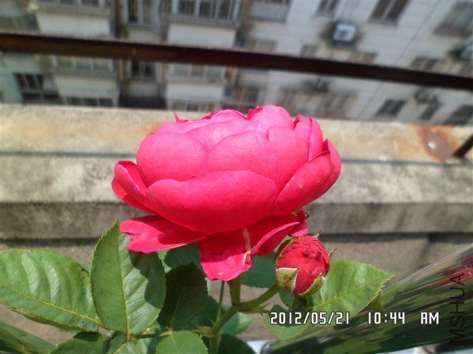 psb (1).jpg